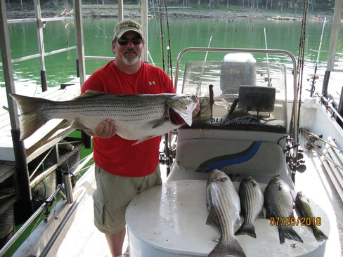 Nice Striped Bass